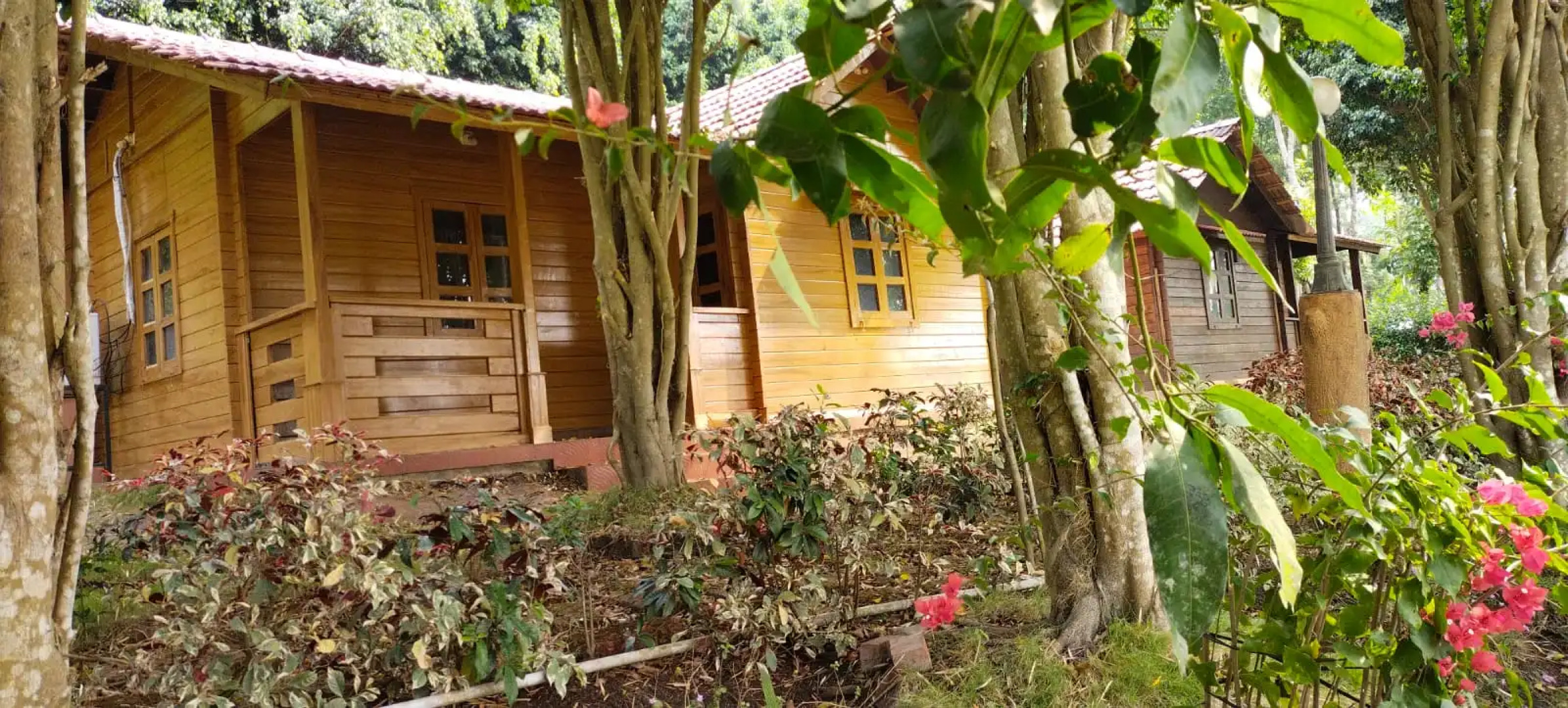 George's Cottages & Resorts