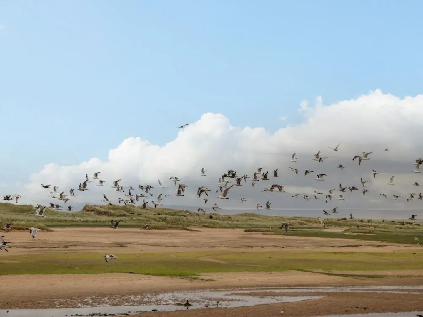 Lossiemouth Bay Cottage