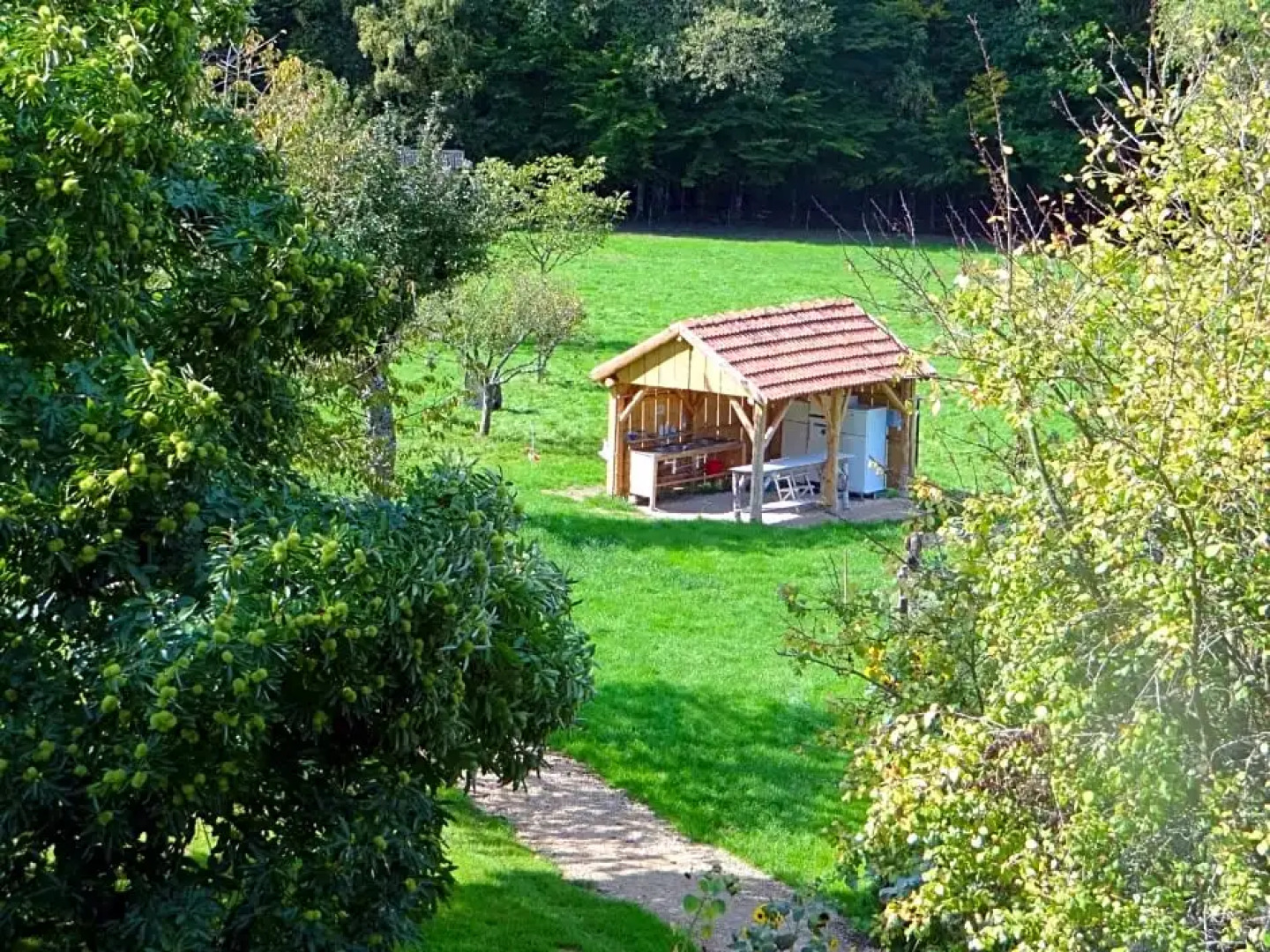 La Clairière du Verbamont