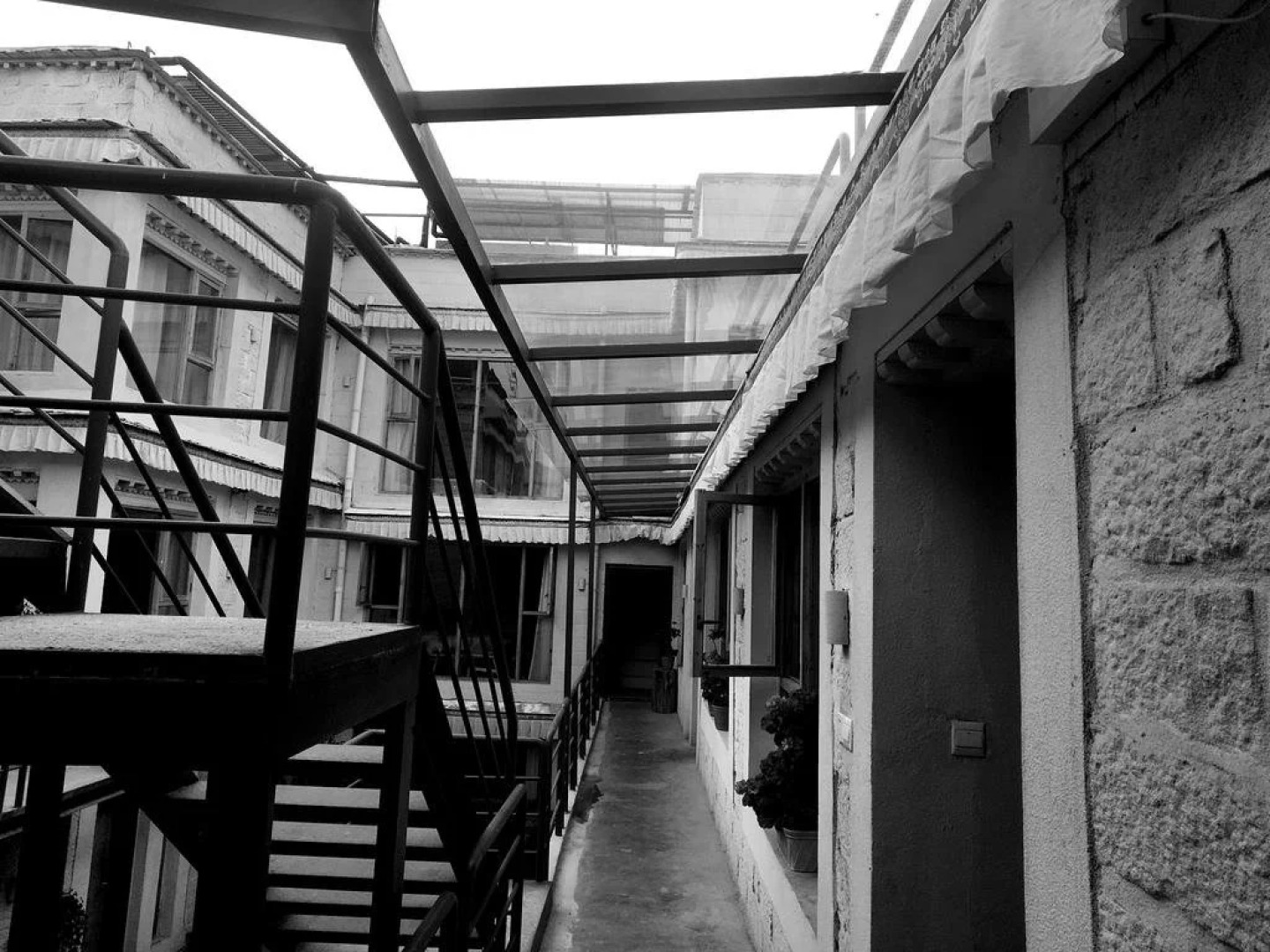 Fengma Feiyang Hostel