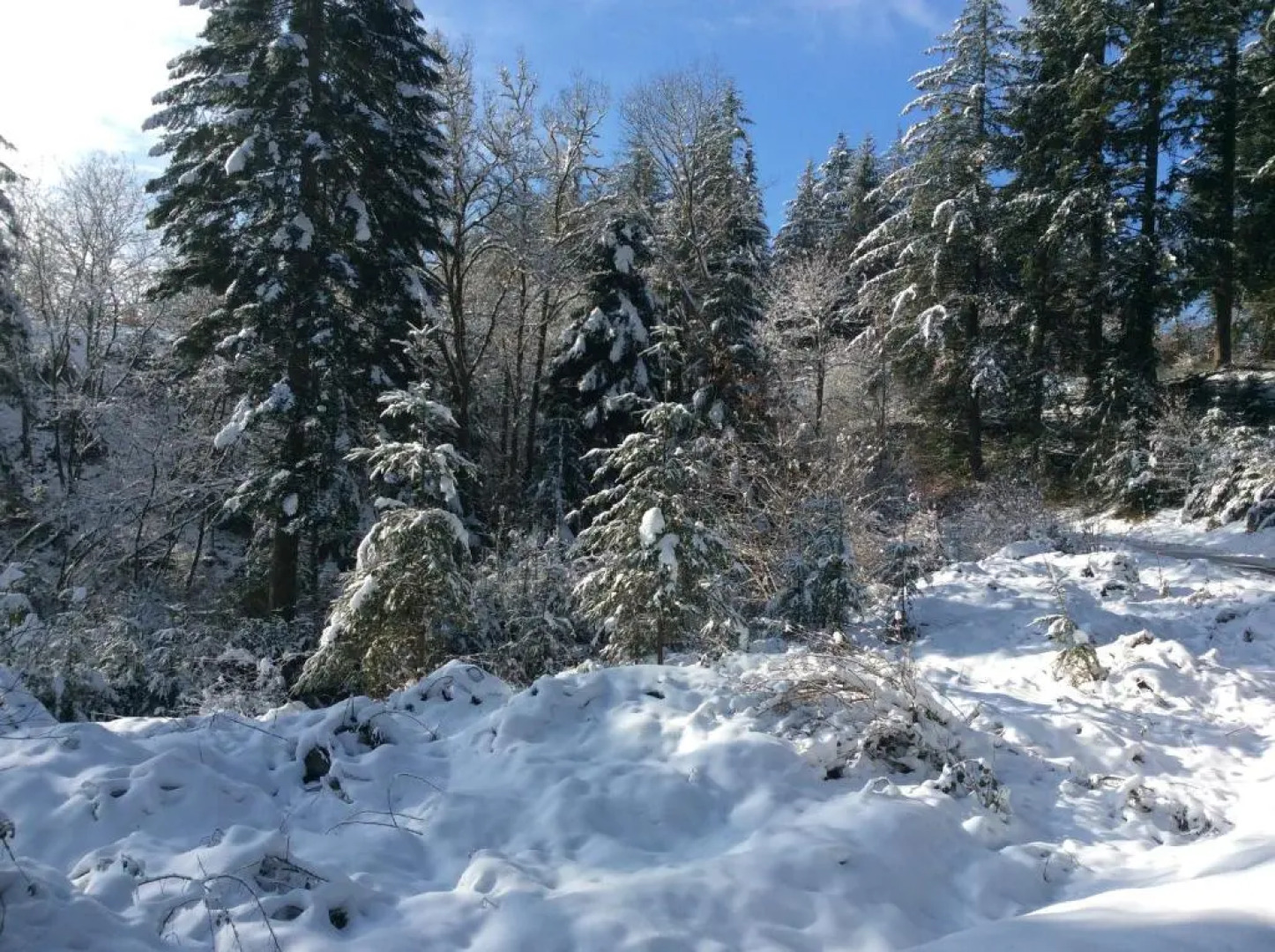 Chambres dhôtes Le Moulin des Farges