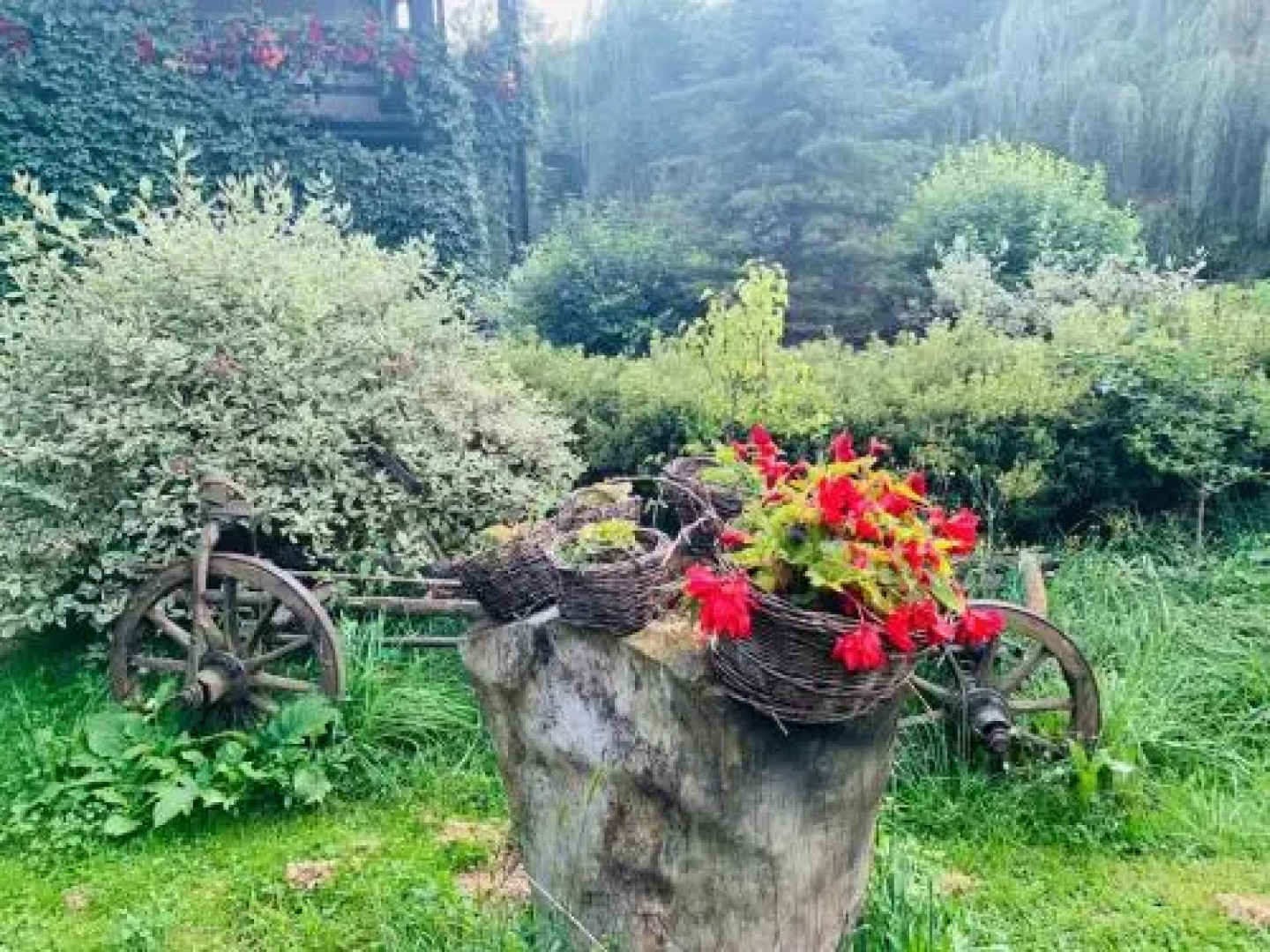 Pensiunea Mugur de Fluier