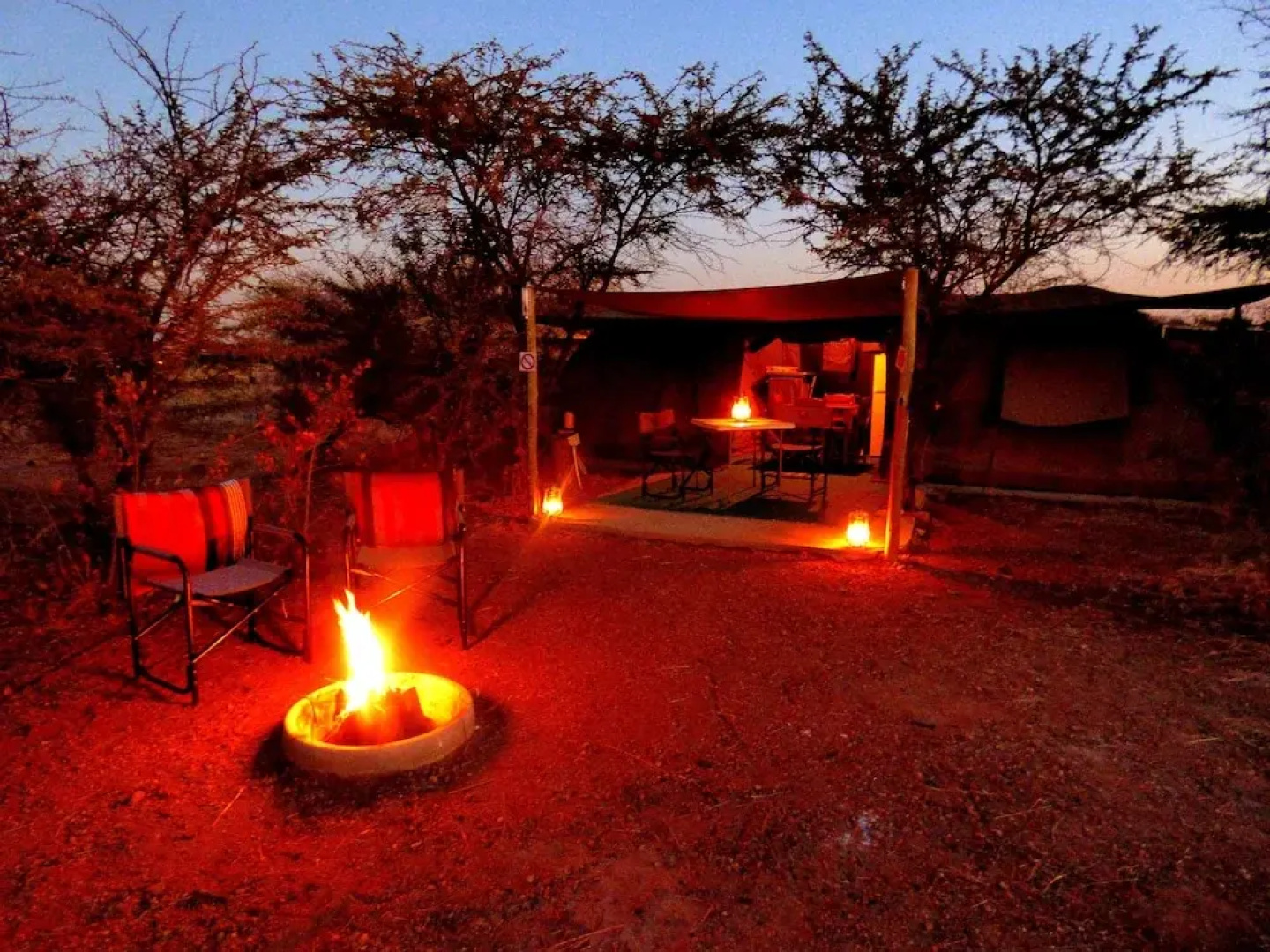 Thorn Tree Bush Camp