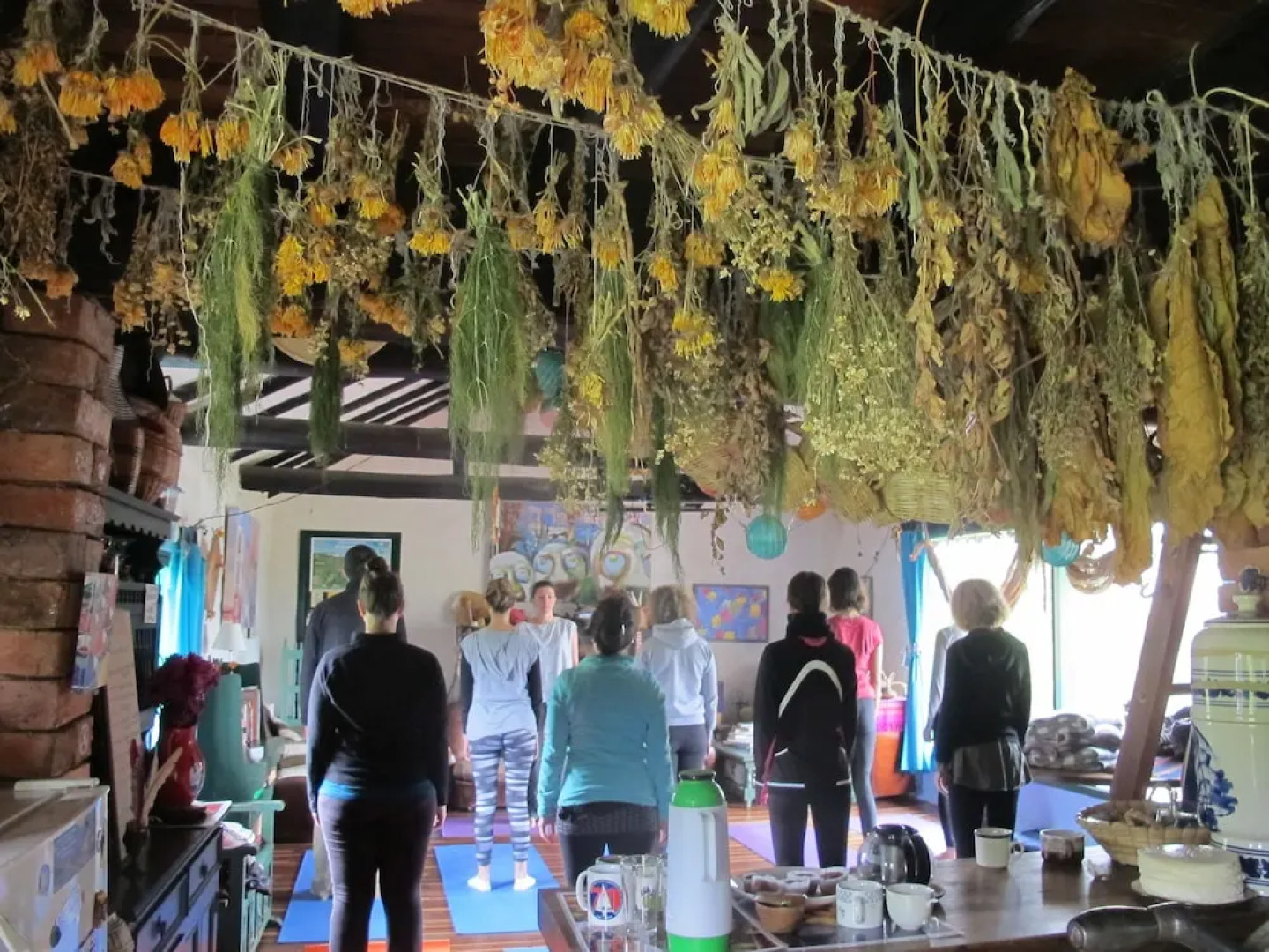 La Juanita Finca Verde