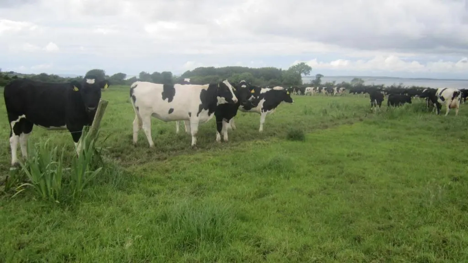 Greenfields Farmhouse