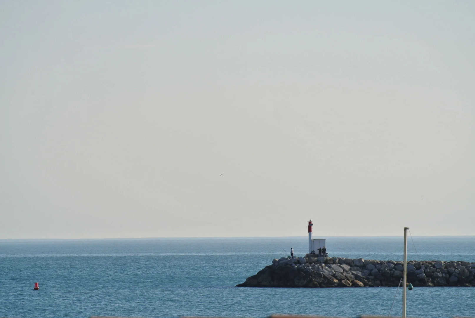 Hôtel Les Palmiers en Camargue
