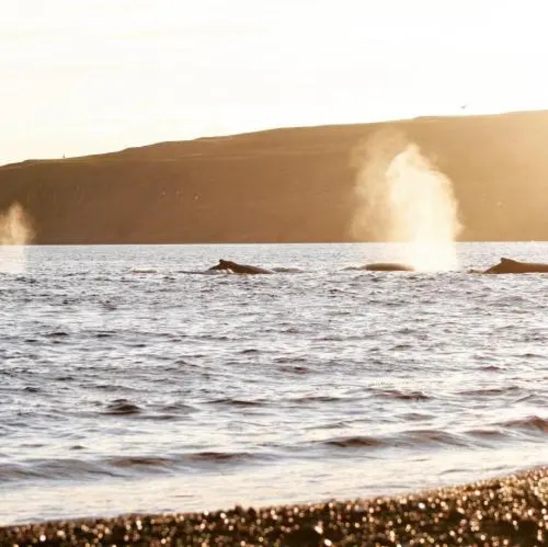 The Convent Guesthouse