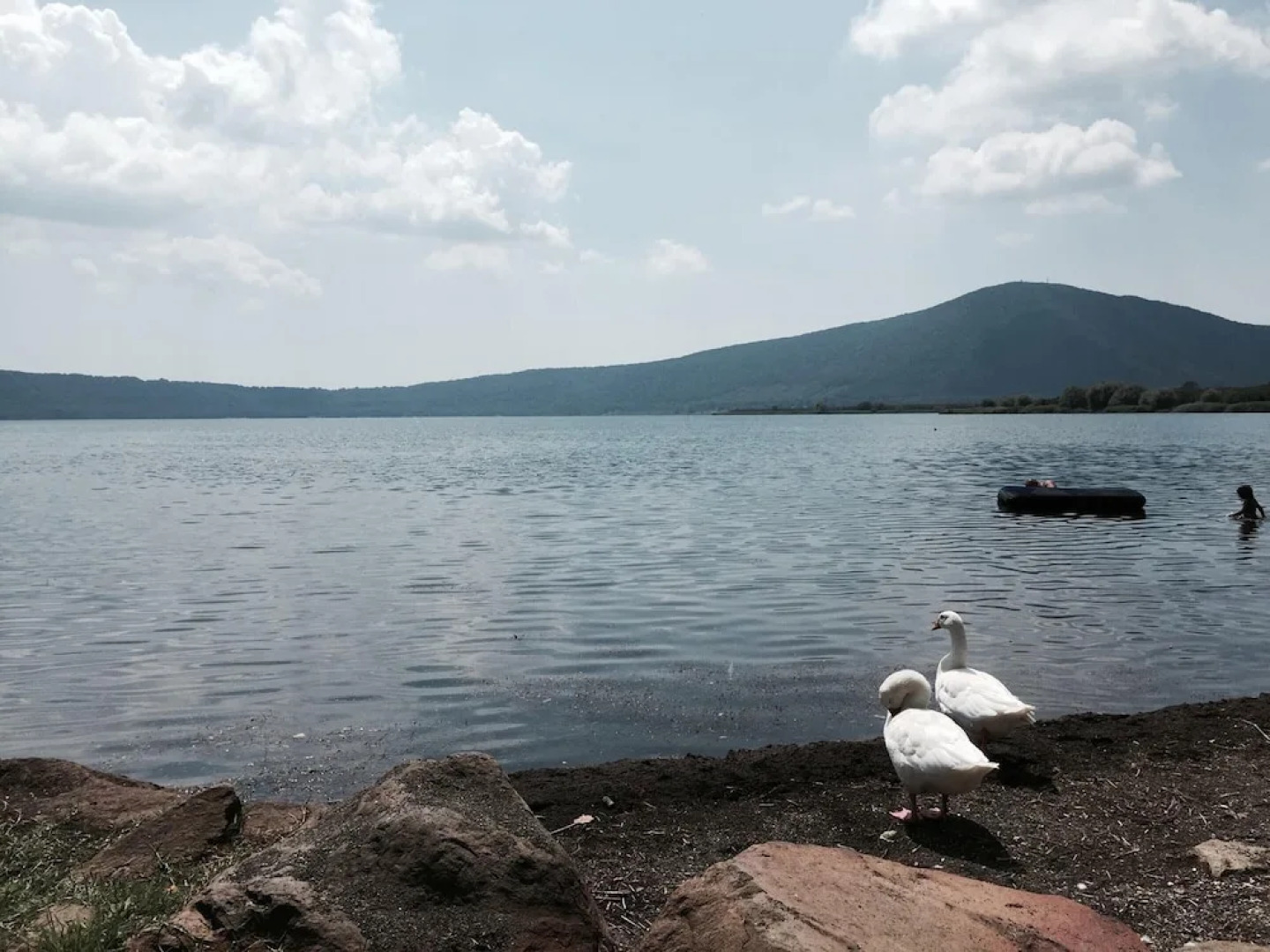 House With 4 Bedrooms in Barbarano Romano, With Enclosed Garden and Wi