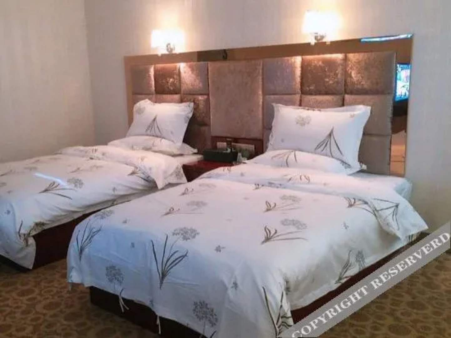 Ruoqiang holiday inn