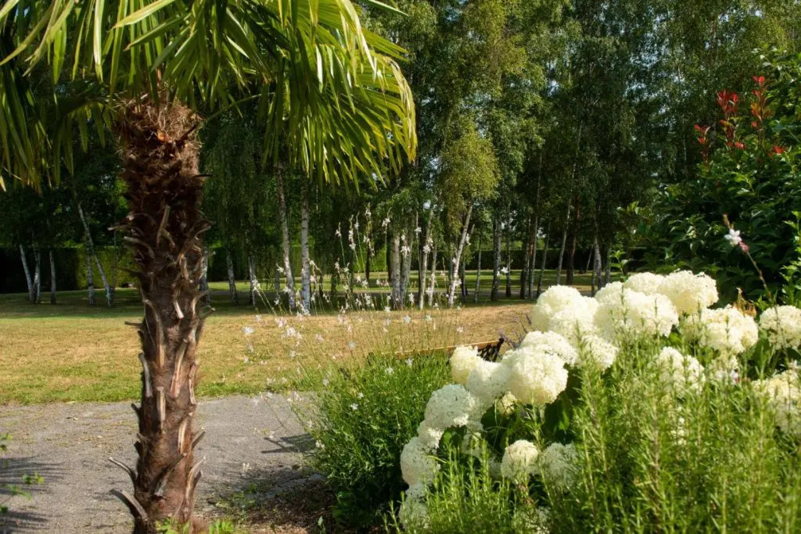 Au fil du Vizézy - Chambre d'hôtes