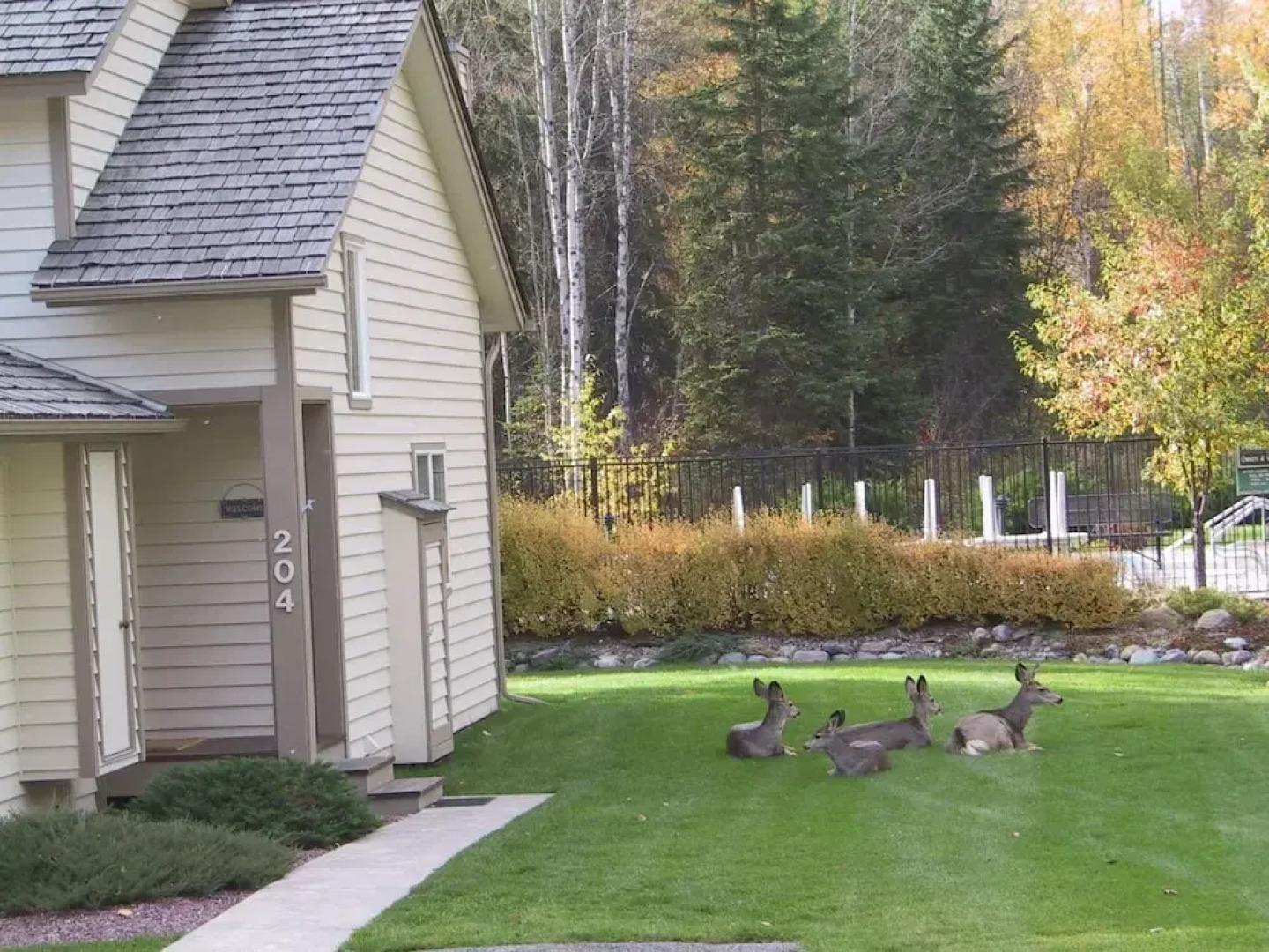 Mountain Harbor #204  2 Bedroom Condo