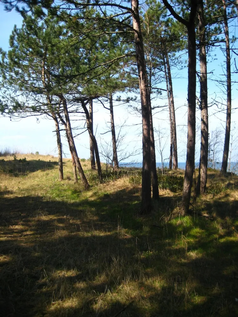 Pelikan Resort