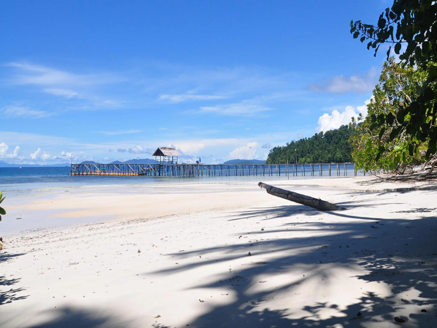 Waiwo Dive Resort Raja Ampat
