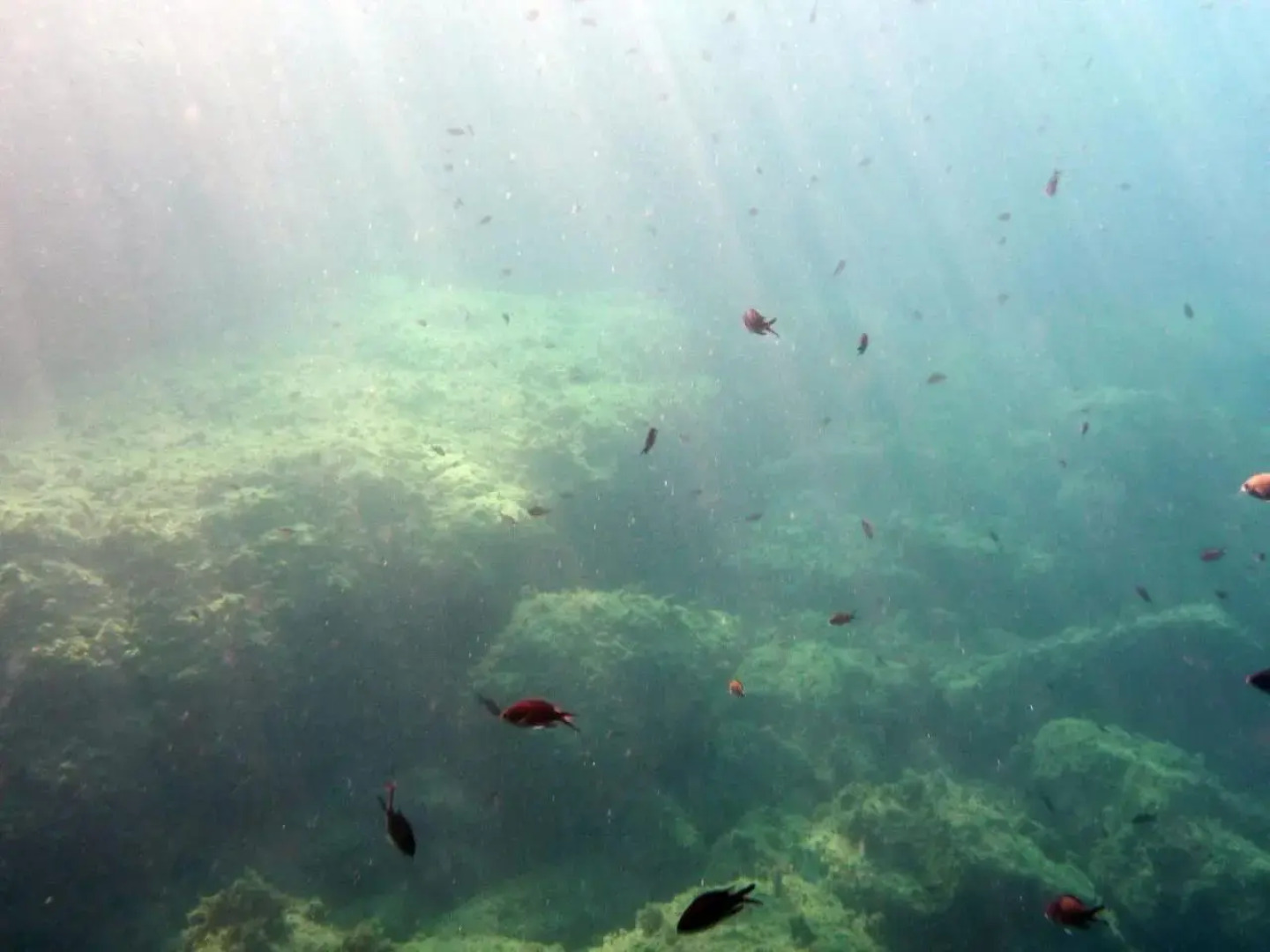 Appartamenti La Quiete