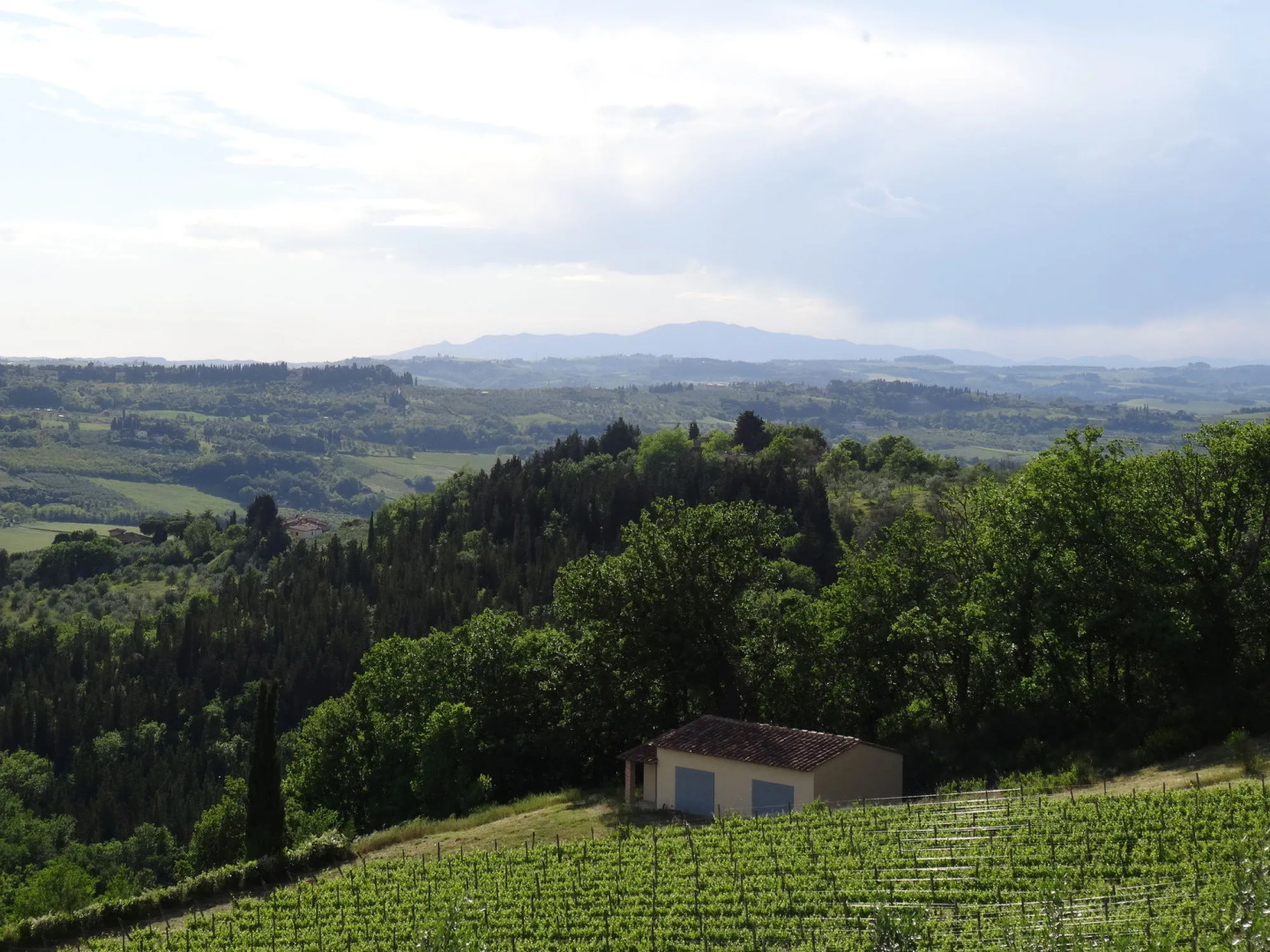 Villa I Barronci Resort & Spa