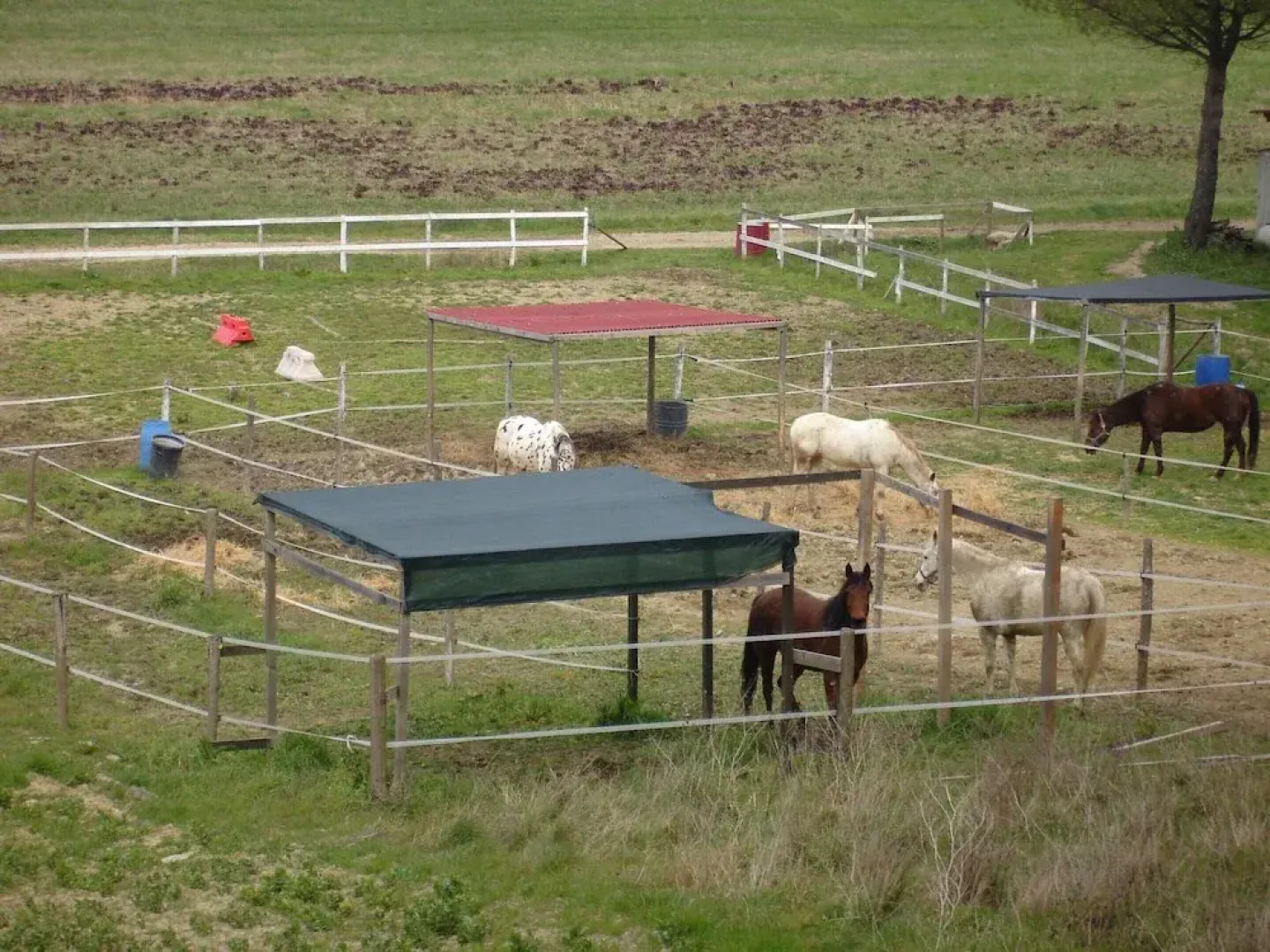 Apartment Between Pisa and Livorno