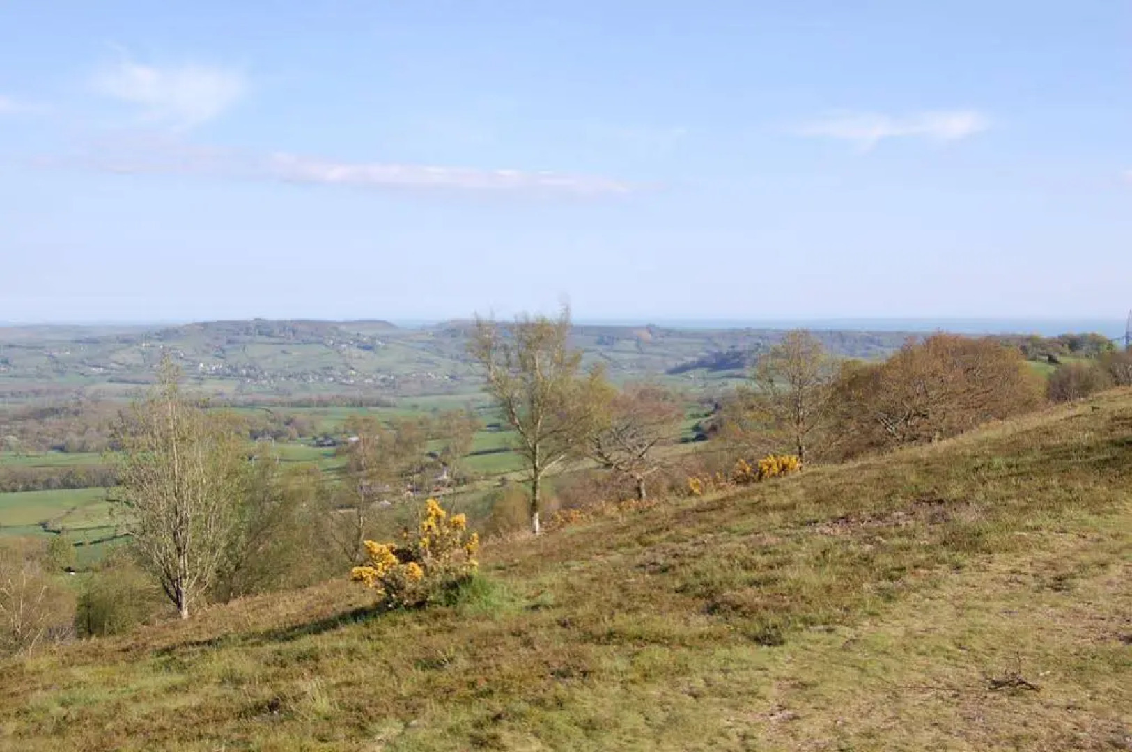 Devons Duck n Dane B&B