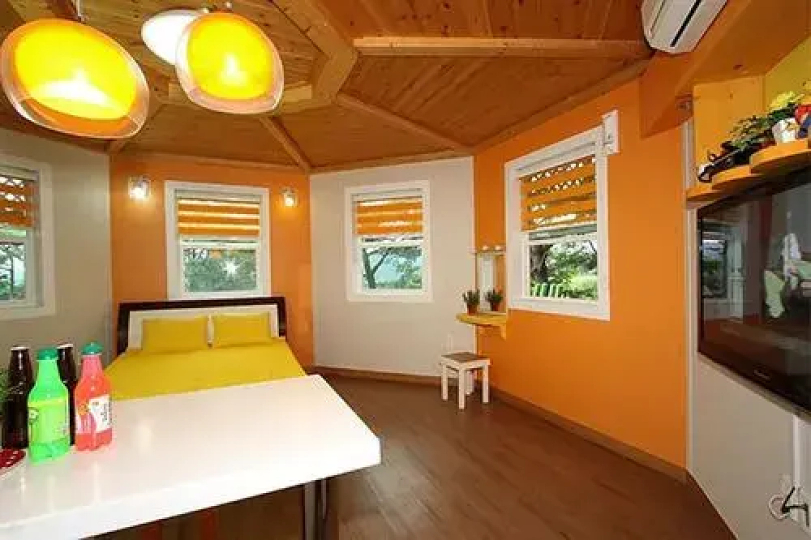 Squirrel And Akorn Pension