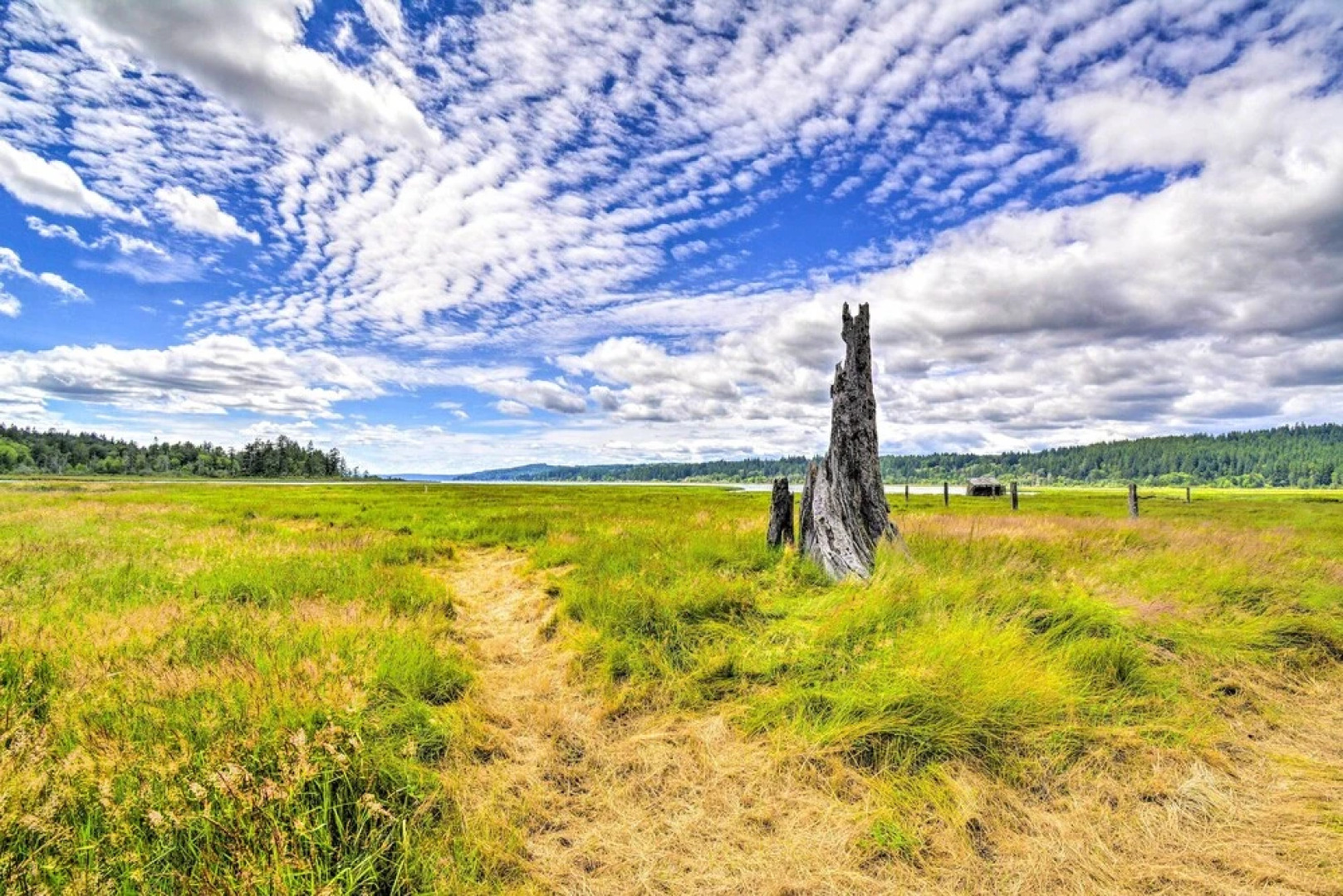 Stunning Hood Canal Getaway w/ Private Deck!