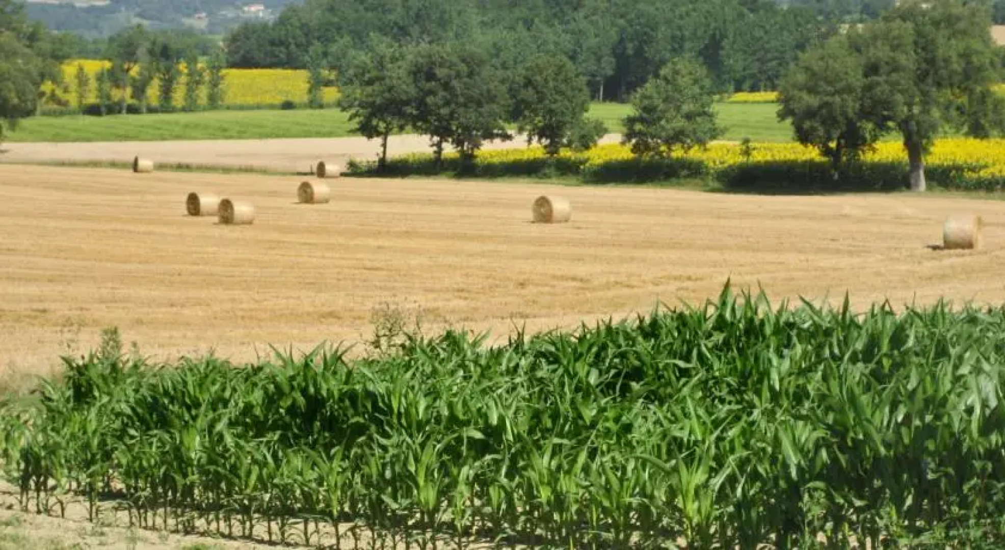 HomeRez - farmhouse Maison Verger
