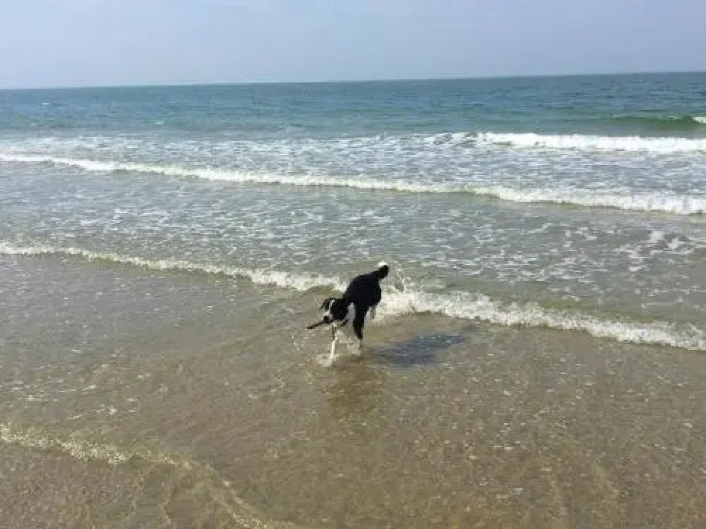 Strandappartement De Ark