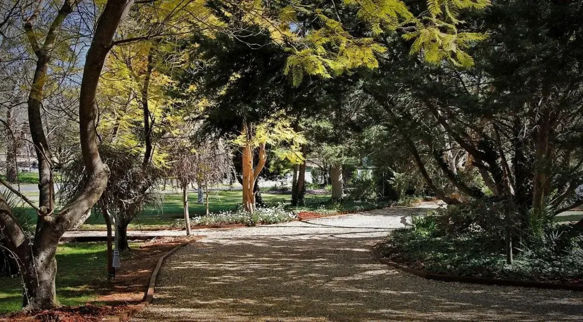 Elizas on the Murray