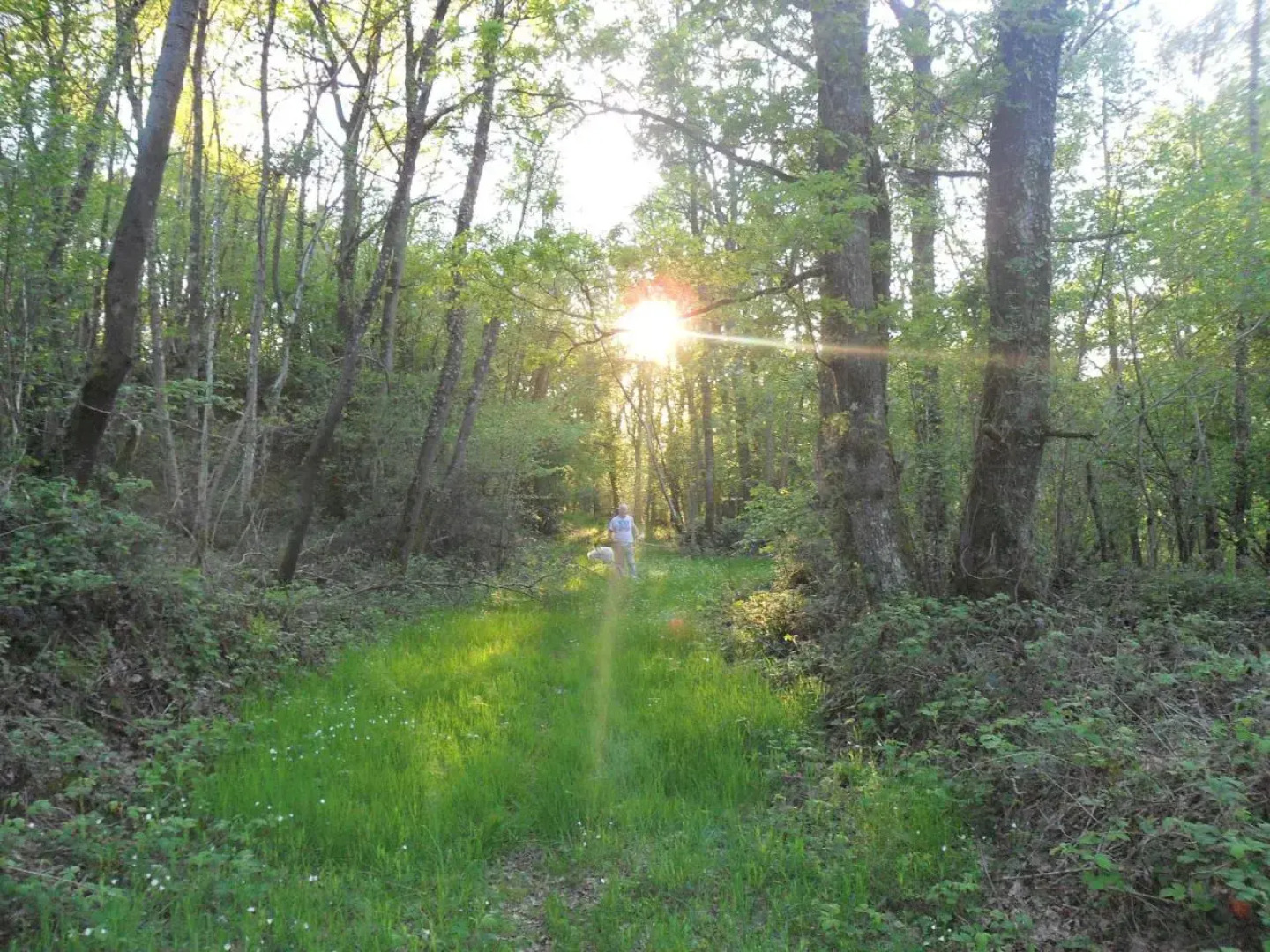 Les Hautes Loignieres