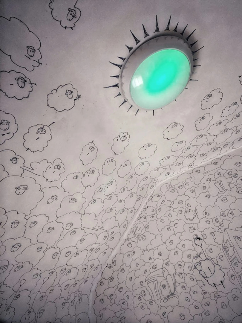 The Black Sheep Hostel