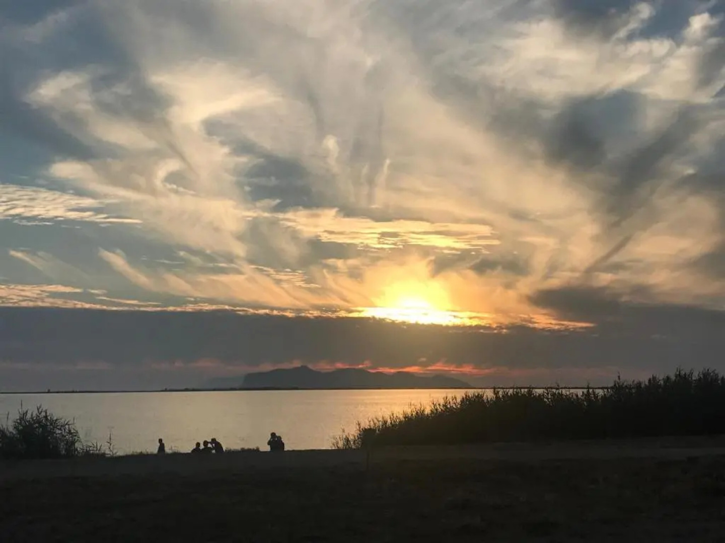 Prokite Alby Rondina Resort