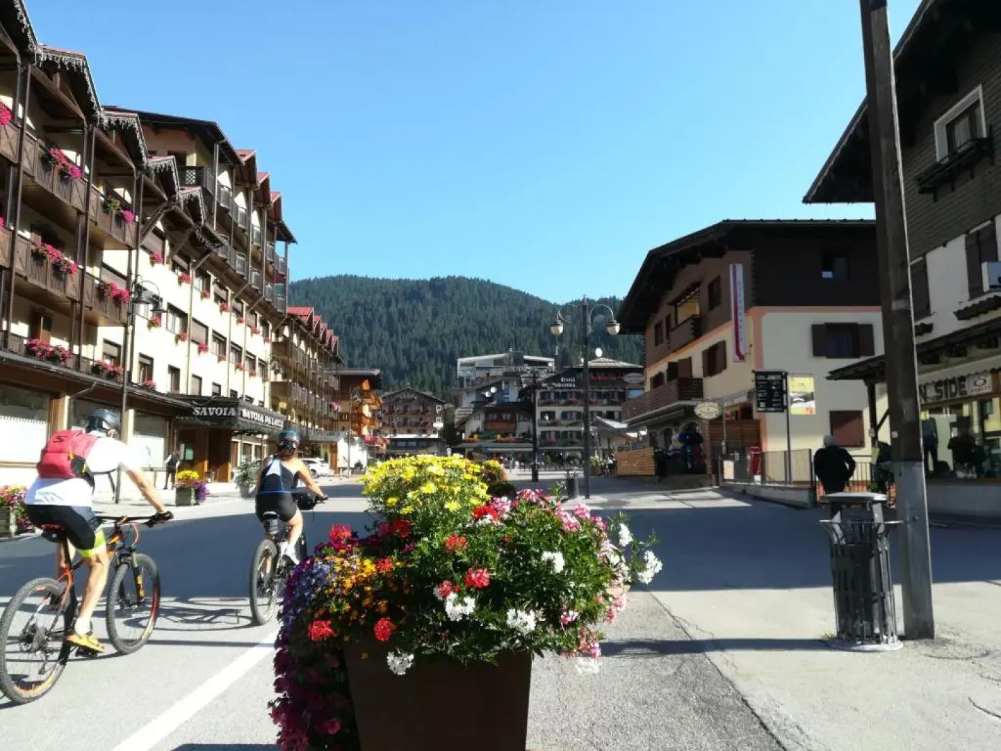 Appartamento Campiglio
