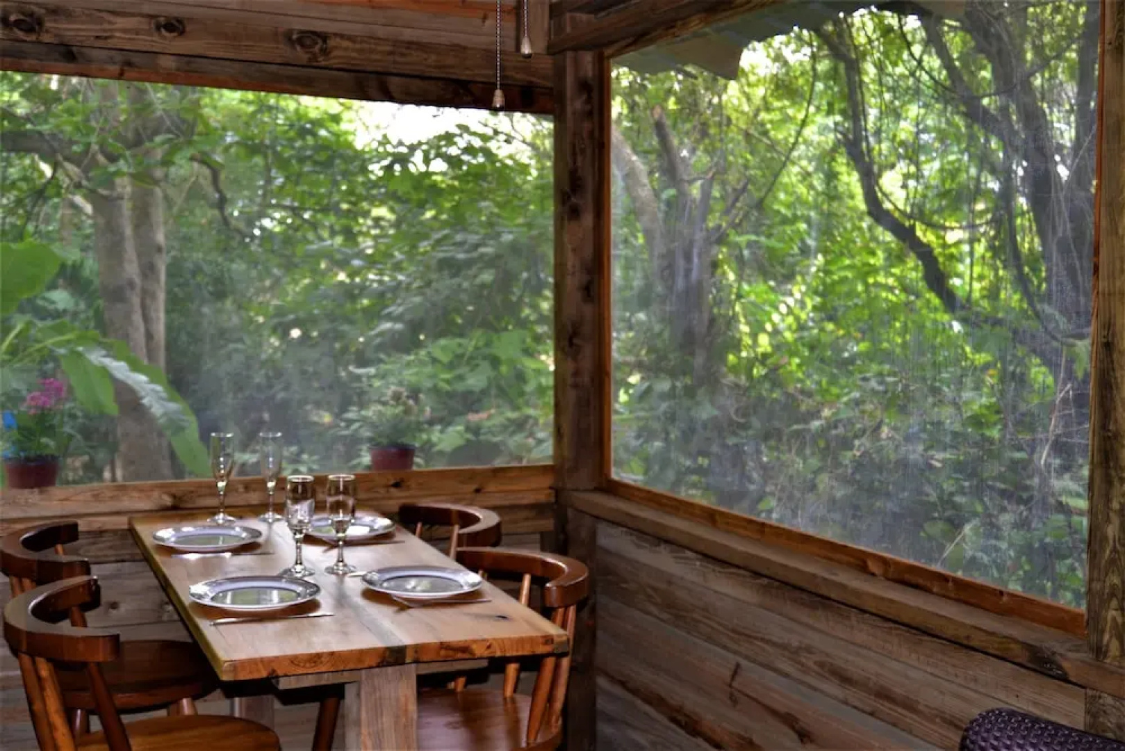 Iguana Roost for Explorers, Families or Travelers Welcome to The Tropical Acre