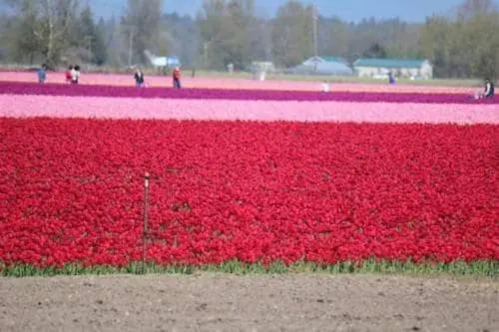 The Country Cedar Inn