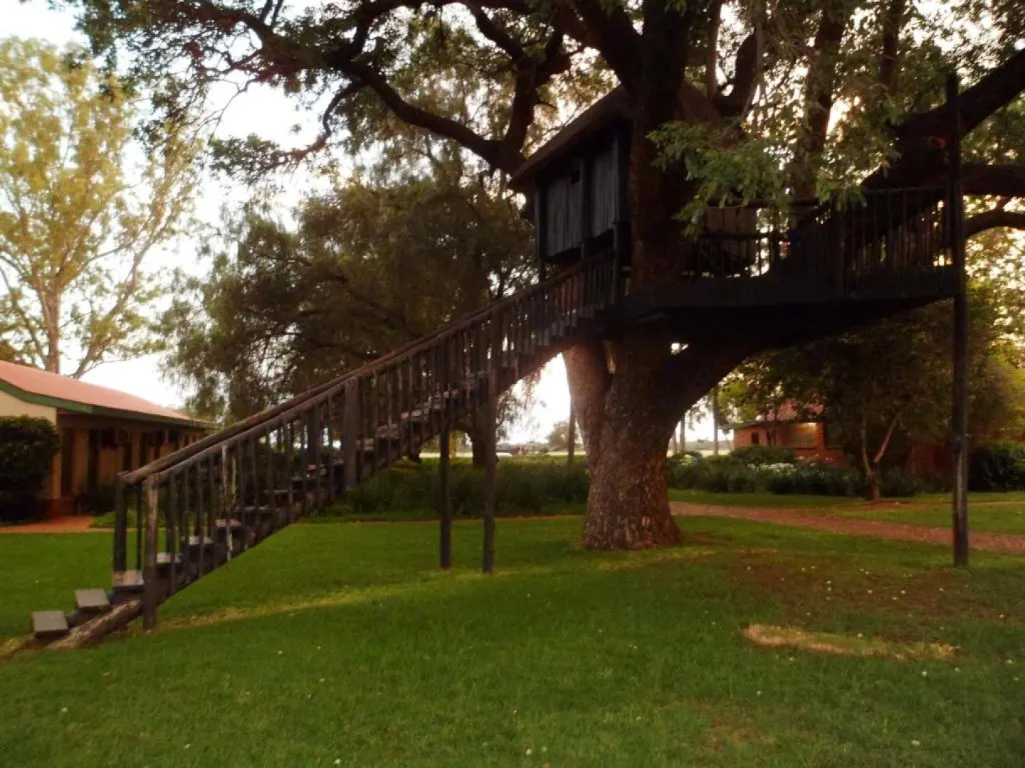 Sondela Nature Reserve & Spa Moselesele Tents