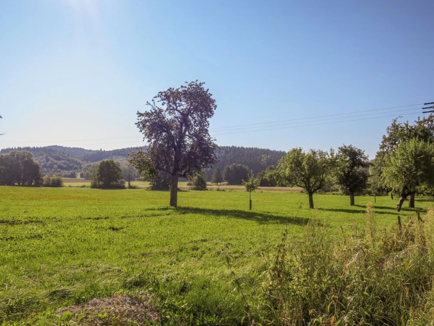 Joel Stockach in Stockach