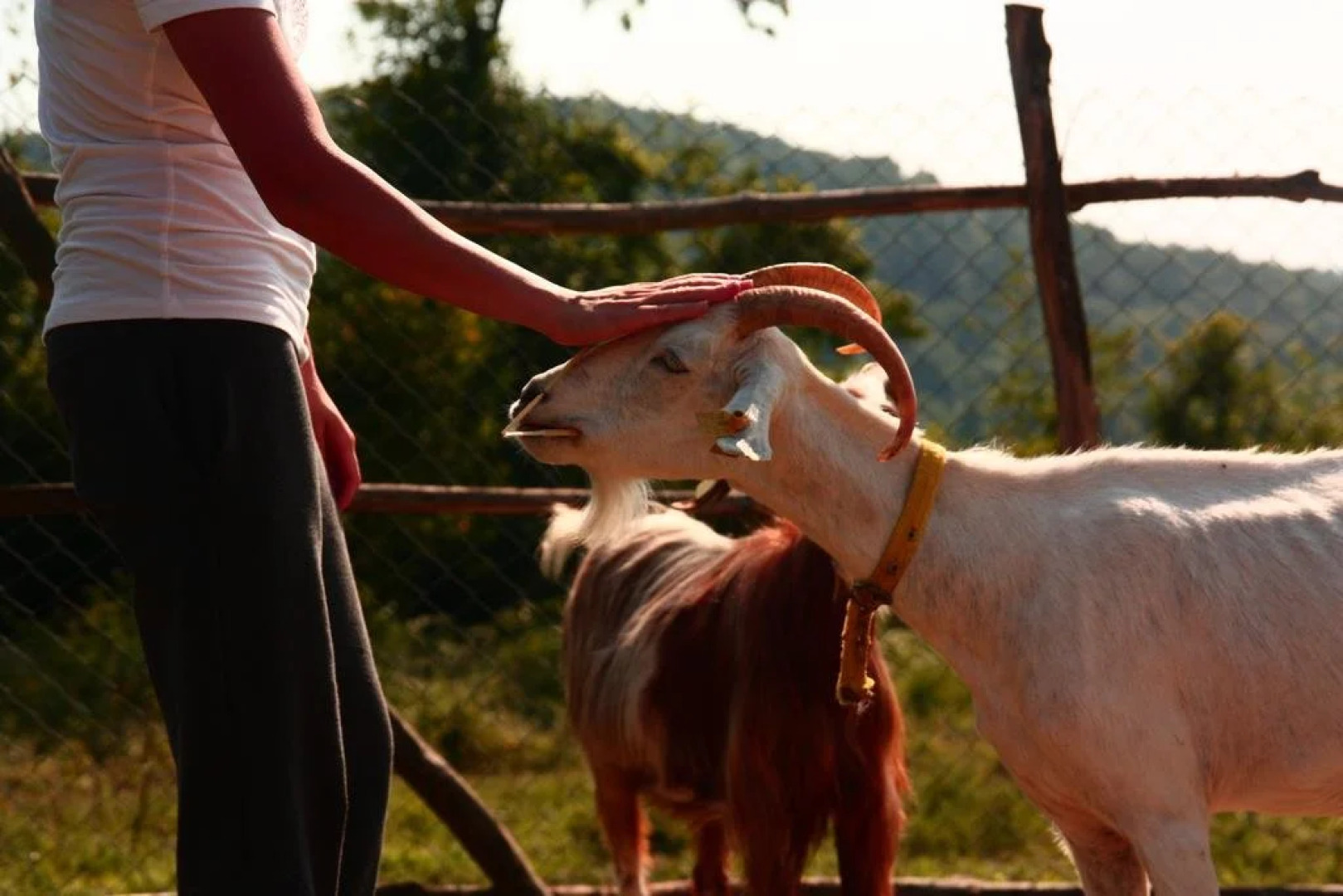 Narköy Ecologic Hotel & Organic Farm