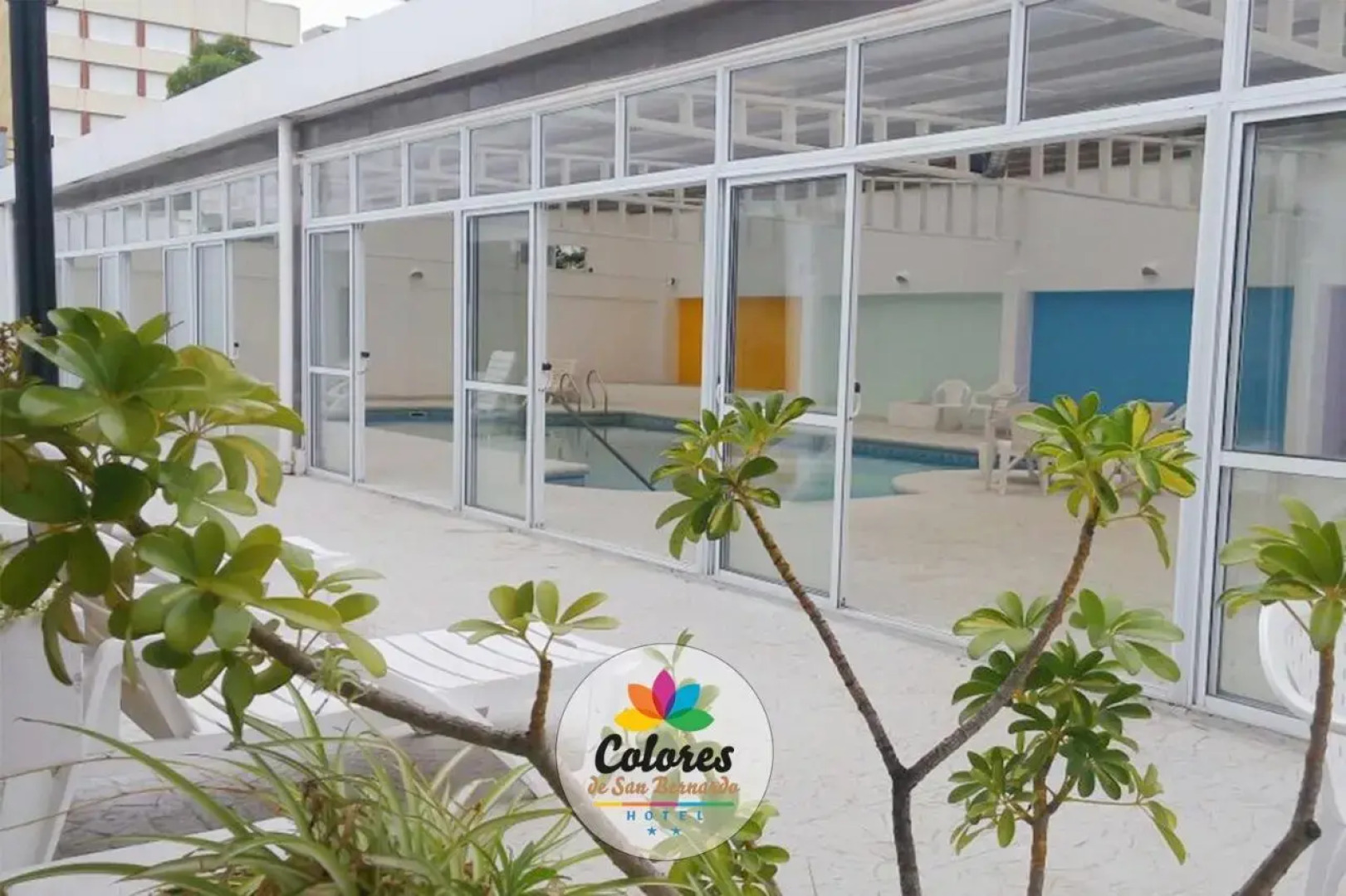 Colores De San Bernardo