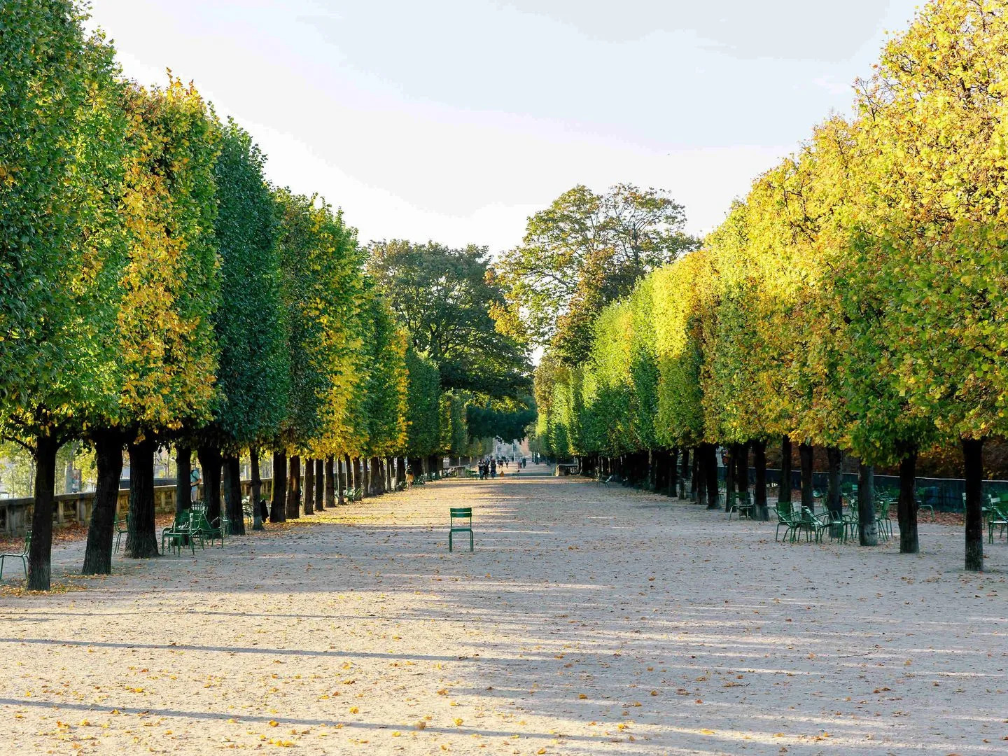 Mercure Paris Montparnasse Raspail