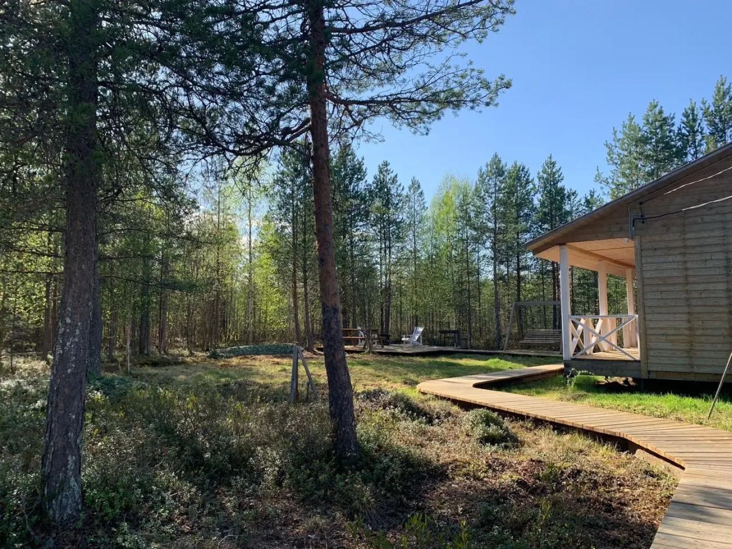 Вереск на локации Тайга