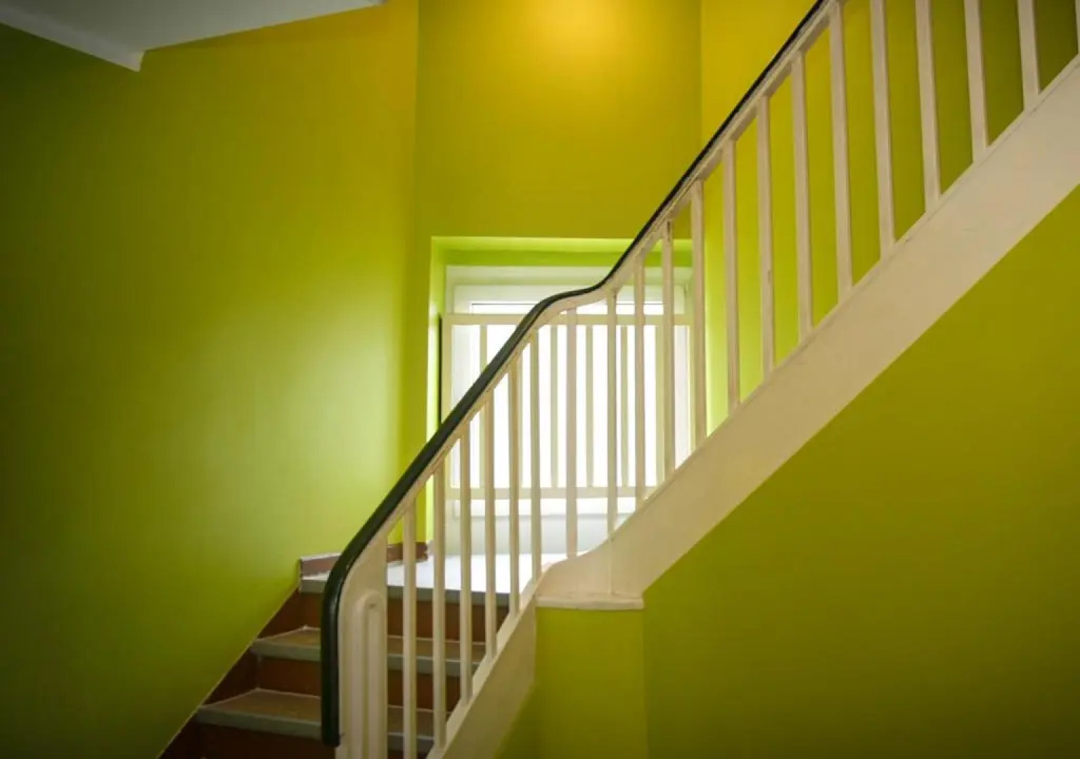 Ringeltaube – Wohnen wie zu Hause