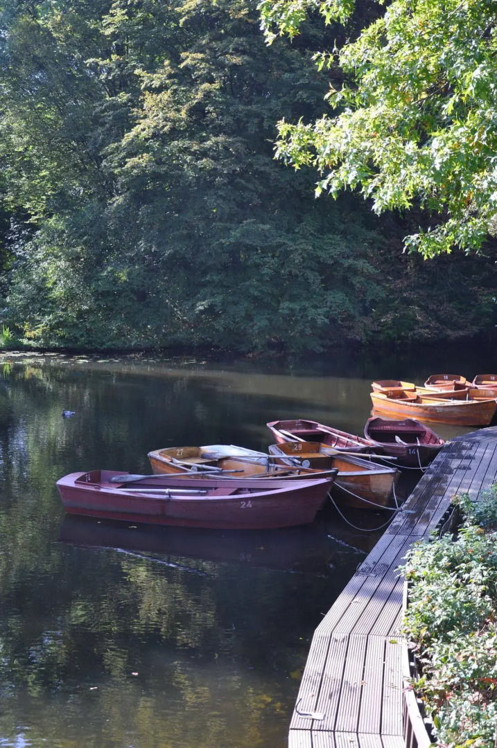 Отель Munte-Wellnesshotel am Stadtwald