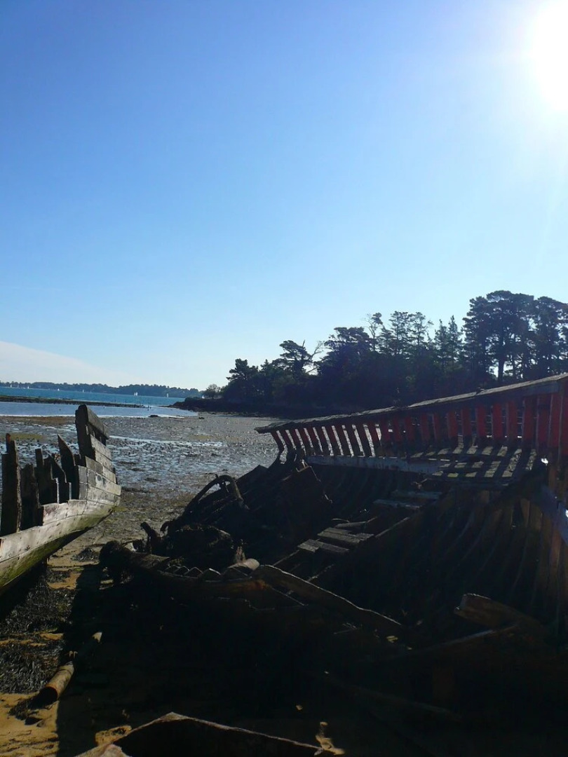 Appartement Les Algues