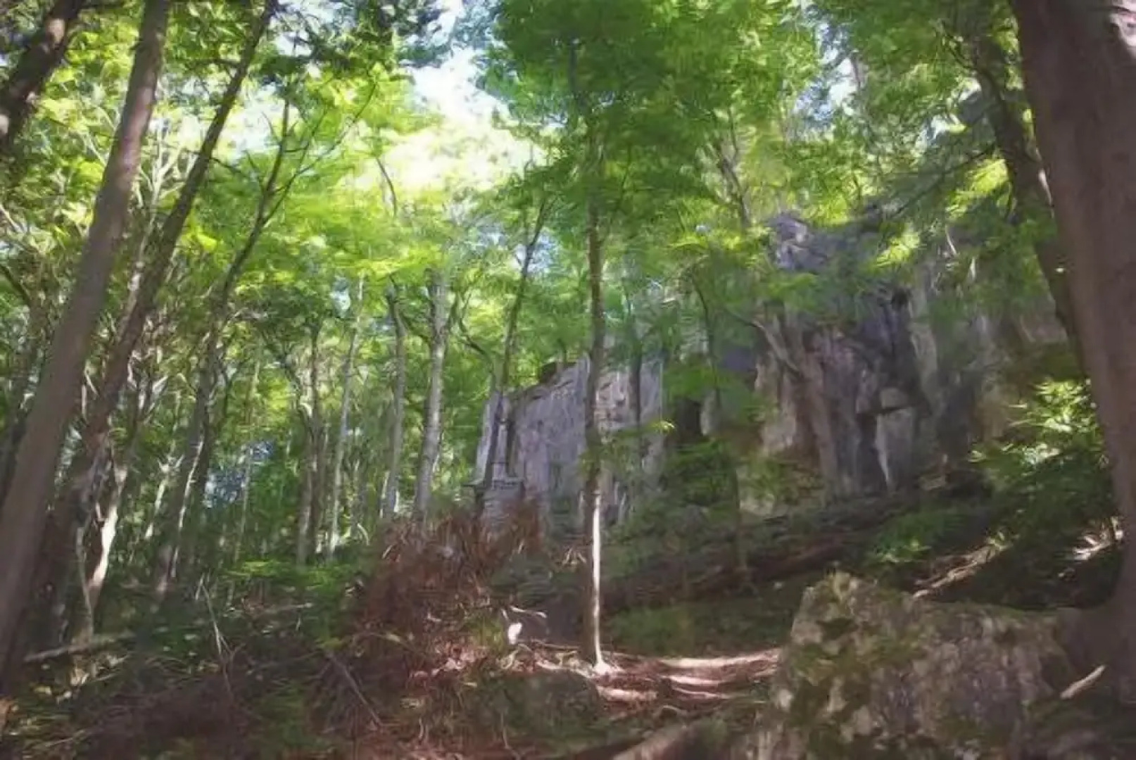 Hotel Restaurant Räuber Lippoldskrug