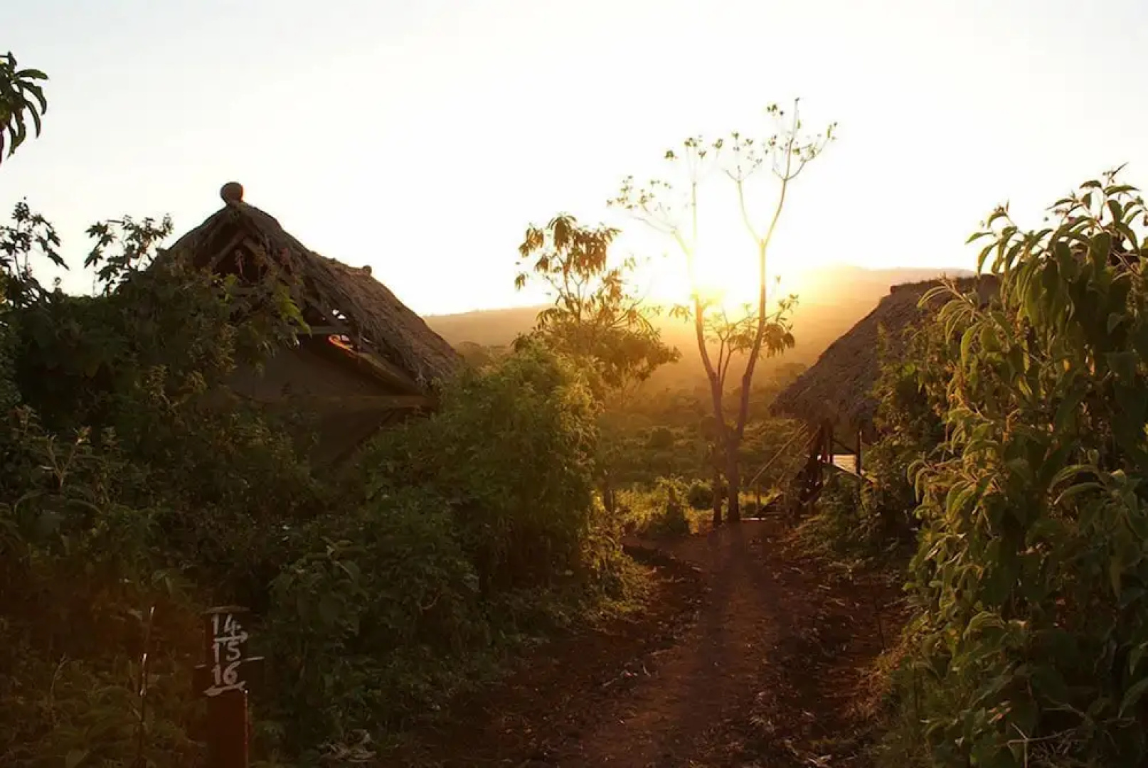 Crater Forest Tented Camp