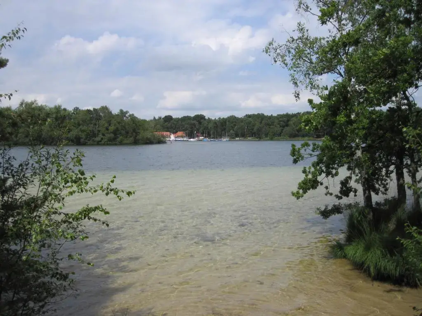Regina Vught