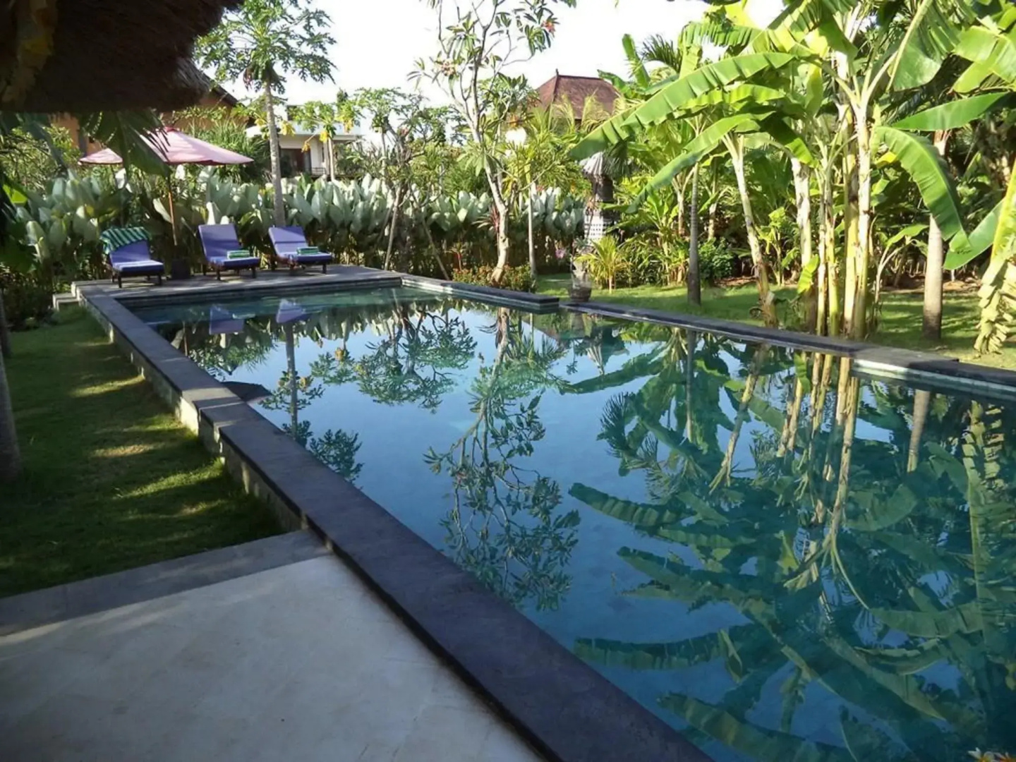 Pazzo Bali