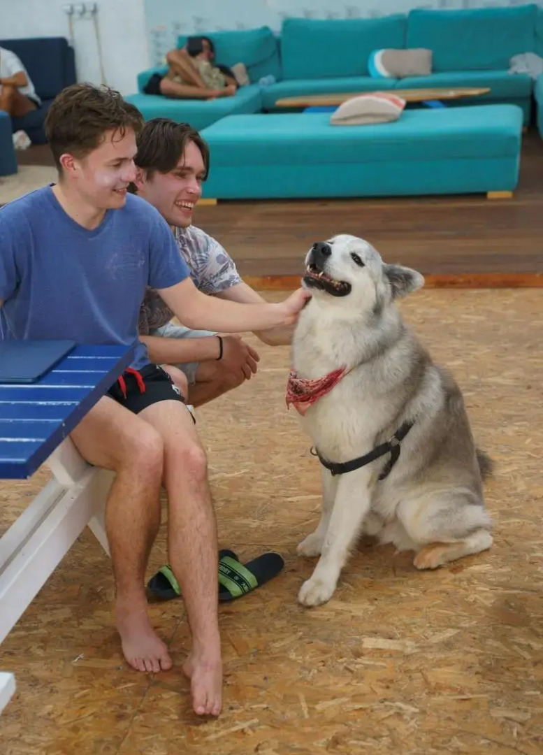 AKTION Peniche Hostel & Apartments