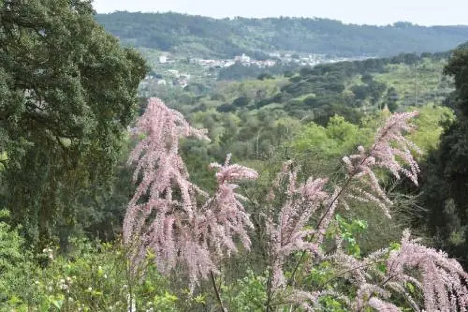 Quinta da Casa Velha Agroturismo