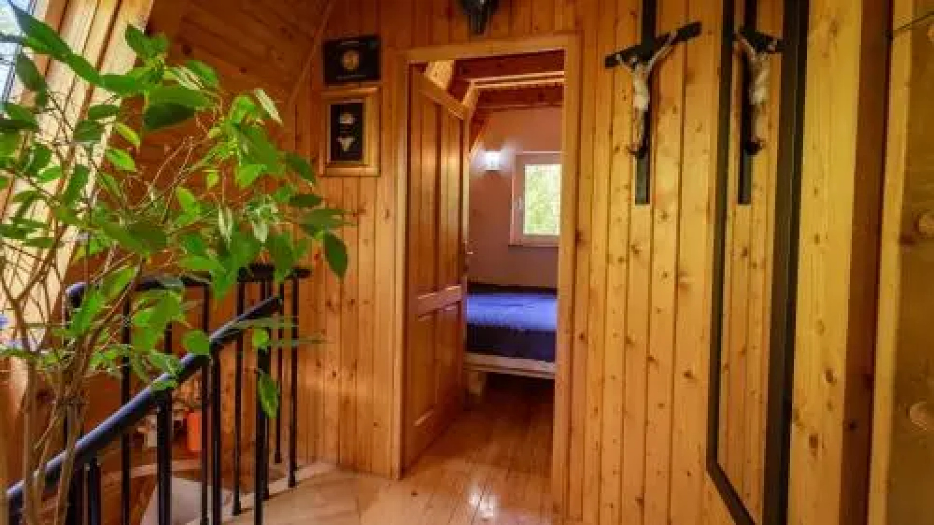 Planinska kuca Dasovic