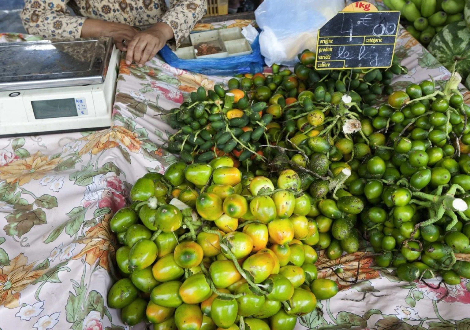 Mercure Cayenne Royal Amazonia Hotel