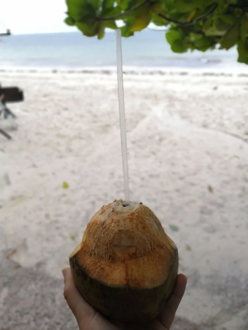 Tulia House - Hostel